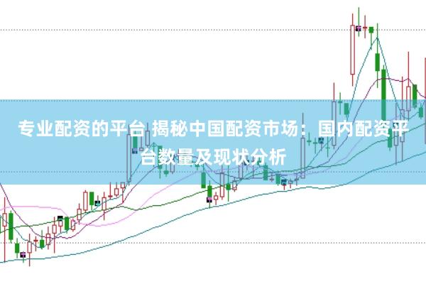 专业配资的平台 揭秘中国配资市场：国内配资平台数量及现状分析