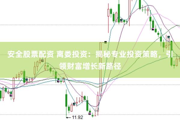 安全股票配资 离娄投资：揭秘专业投资策略，引领财富增长新路径