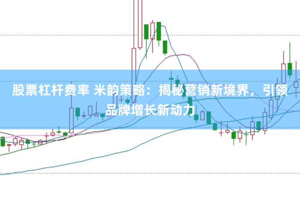 股票杠杆费率 米韵策略：揭秘营销新境界，引领品牌增长新动力