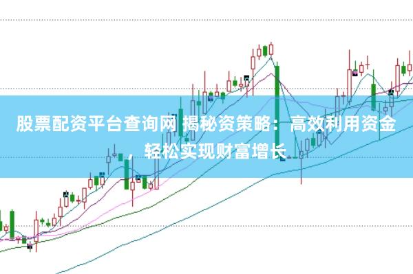 股票配资平台查询网 揭秘资策略：高效利用资金，轻松实现财富增长