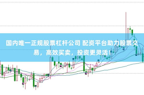 国内唯一正规股票杠杆公司 配资平台助力股票交易，高效买卖，投资更灵活！