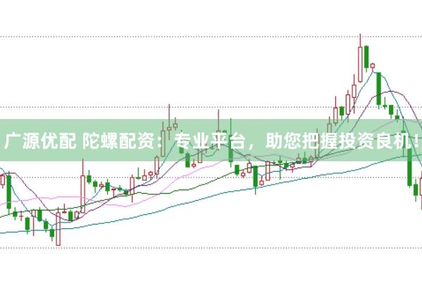 广源优配 陀螺配资：专业平台，助您把握投资良机！