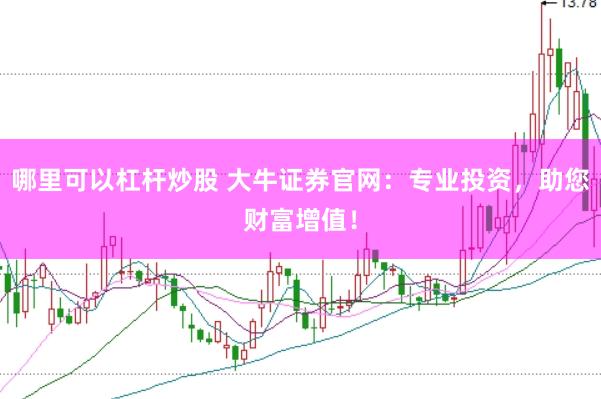 哪里可以杠杆炒股 大牛证券官网：专业投资，助您财富增值！