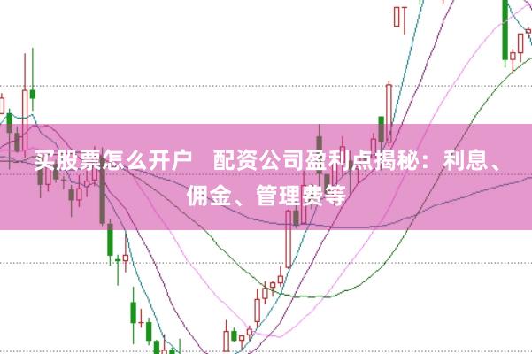 买股票怎么开户   配资公司盈利点揭秘：利息、佣金、管理费等