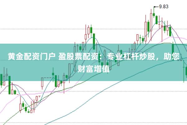 黄金配资门户 盈股票配资：专业杠杆炒股，助您财富增值