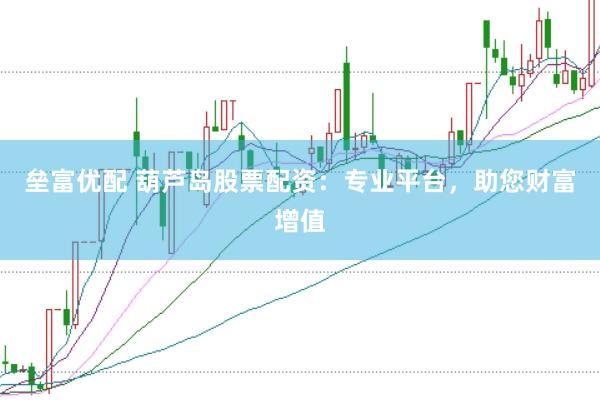 垒富优配 葫芦岛股票配资：专业平台，助您财富增值