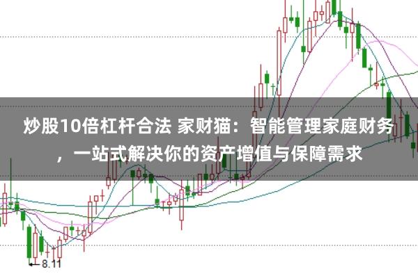 炒股10倍杠杆合法 家财猫：智能管理家庭财务，一站式解决你的资产增值与保障需求