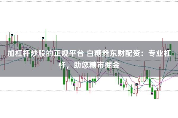 加杠杆炒股的正规平台 白糖鑫东财配资：专业杠杆，助您糖市掘金