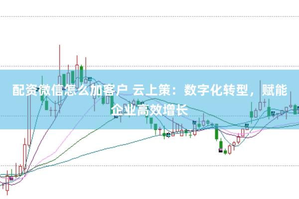 配资微信怎么加客户 云上策：数字化转型，赋能企业高效增长