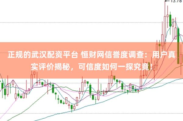 正规的武汉配资平台 恒财网信誉度调查：用户真实评价揭秘，可信度如何一探究竟！