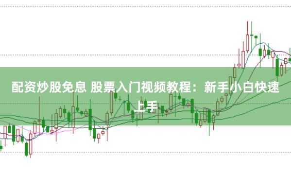 配资炒股免息 股票入门视频教程：新手小白快速上手