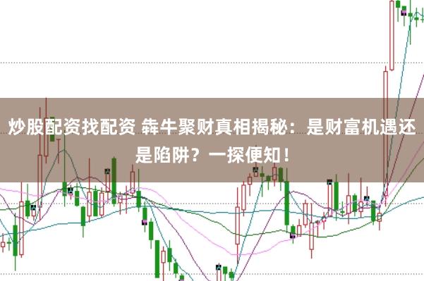 炒股配资找配资 犇牛聚财真相揭秘：是财富机遇还是陷阱？一探便知！