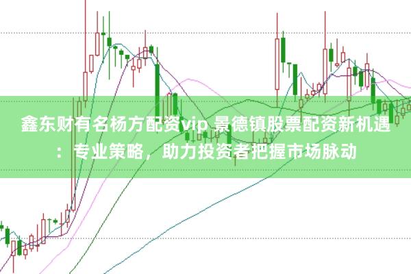 鑫东财有名杨方配资vip 景德镇股票配资新机遇：专业策略，助力投资者把握市场脉动