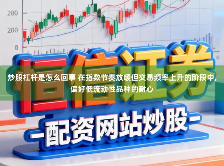 炒股杠杆是怎么回事 在指数节奏放缓但交易频率上升的阶段中，偏好低流动性品种的耐心