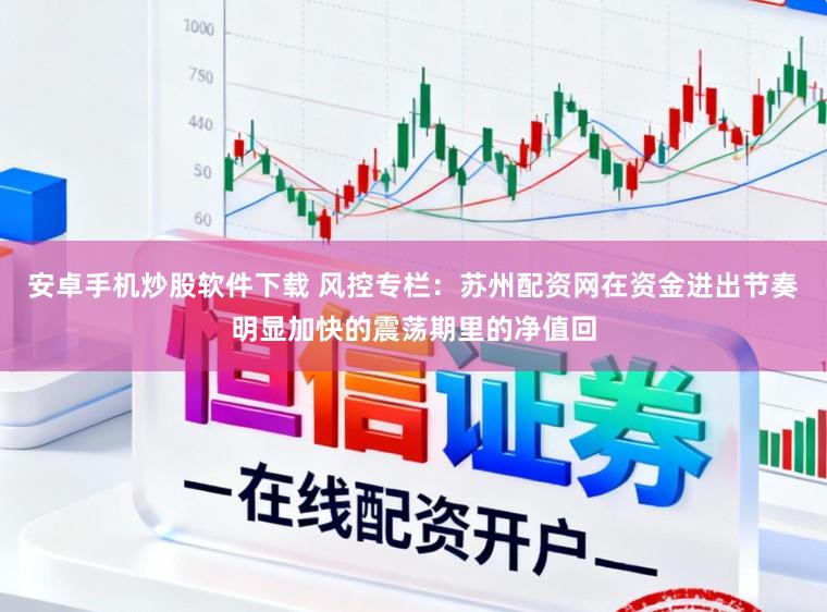 安卓手机炒股软件下载 风控专栏：苏州配资网在资金进出节奏明显加快的震荡期里的净值回
